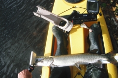 kayak