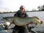 European Pike