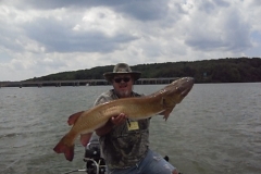 First 50