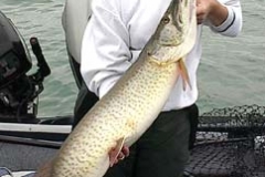 muskie03