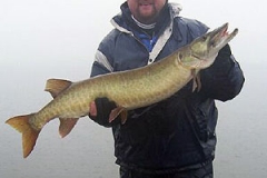 muskie24