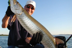 muskie56