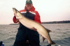 muskie65