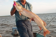 pike001