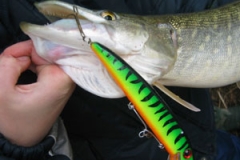 pike09