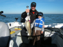 Walleye