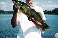 walleye01