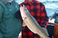 walleye02