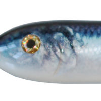 Muskie Tackle- Drifter Tackle, Musky Maina, ERC, Sennett Tackle